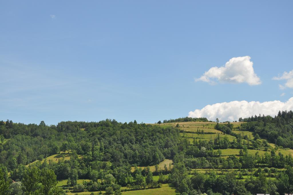 Farm stay Agroturystyka Zagroda *